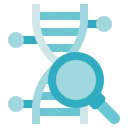 estructura del adn icon