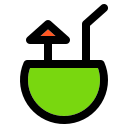 cocos icon