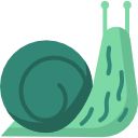 caracol