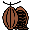 cacao 