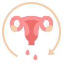 ciclo menstrual icon