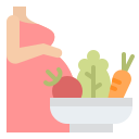 nutrición icon