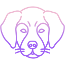 perro icon