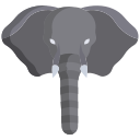 elefante