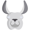 llama