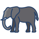 elefante