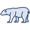 oso polar