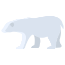 oso polar 