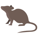 ratón