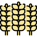 trigo icon