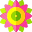 mandala icon