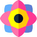 mandala icon