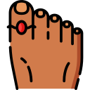 anillo icon