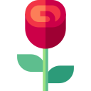 rosa icon