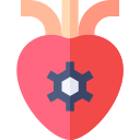 corazón