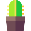 cactus icon