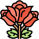 rosas