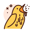 pájaro icon