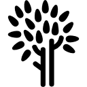 tronco d'albero e foglie icona