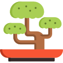 bonsai