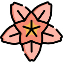 flor de cerezo icon