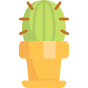 cactus icon