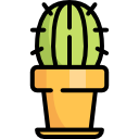 cactus icon