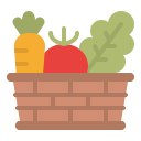 caja de verduras icon