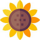 girasol