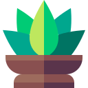 aloe vera icon