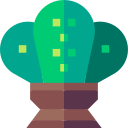 cactus icon