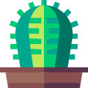 cactus icon