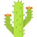 cactus icon