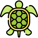 tortuga icon