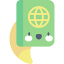 pasaporte icon