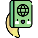 pasaporte icon