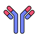 Antibodies 