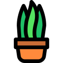 sansevieria icon