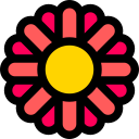 gerbera icon