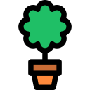 myrtus icon