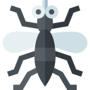 mosquito icon