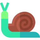 caracol icon