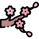 sakura icon