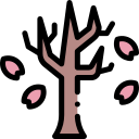 sakura icon