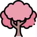 sakura icon