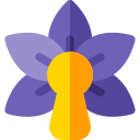 orquídea icon