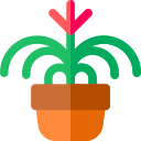 bromelia icon