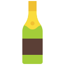 botella icon