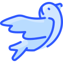 golondrina icon