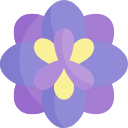 꽃